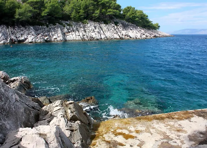 Seaside Secluded Cove Pobij, Hvar - 5712 *