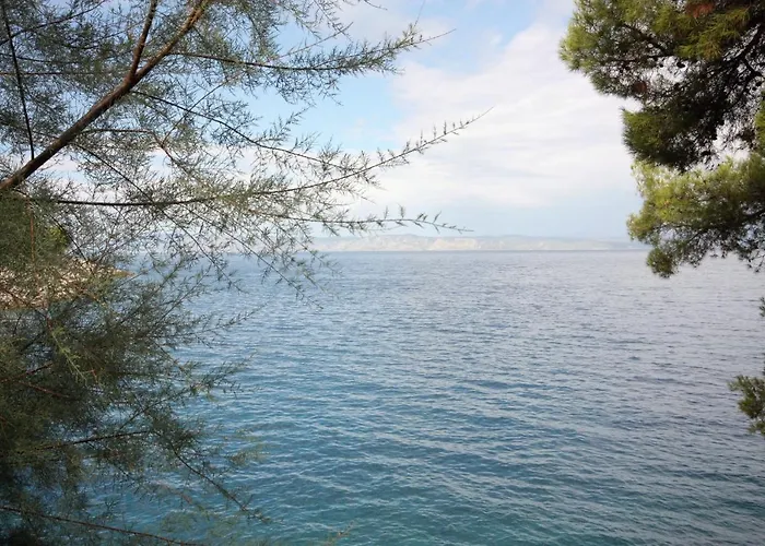 Seaside Secluded Cove Pobij, Hvar - 5712 아파트 Gdinj